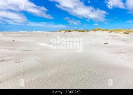 Strandblick auf die Archway Inseln mit Sanddünen am Wharariki Strand, Puponga, Südinsel von Neuseeland. Stockfoto