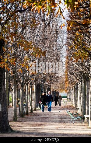 Tuilerien-Garten in der Nähe des Louvre in Paris, Frankreich. Stockfoto