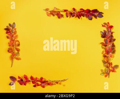 Rahmen aus vier schönen Herbstzweigen auf gelbem Hintergrund. Leeres Leerzeichen für Grußkarte oder Einladung. Herbstgelb Mockup. Draufsicht, Kopierbereich. Stockfoto