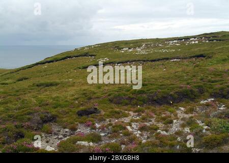 Horn Head, Corrán Binne, County Donegal, Irland, Éire, Irland, Írország, Europa Stockfoto