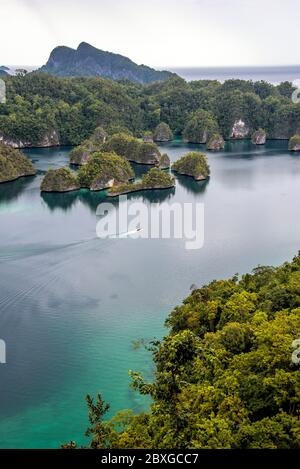 Luftaufnahme eines Schnellbootes, Ermun, Kaimana, West Papua, Indonesien Stockfoto