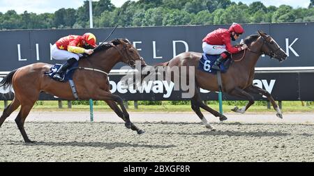 Das von Shane Kelly gerittene Wetten gewinnt die Aufmerksamkeit auf Ihre Ahnung bei Betway Handicap Stakes auf der Lingfield Rennbahn. Stockfoto