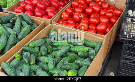 Verkauf von frischem und biologischem Obst und Gemüse auf dem Bauernmarkt. In den Boxen für die Auswahl gibt es Produkte für eine gesunde Ernährung. Blick von der Abov Stockfoto