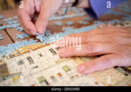 Konzentriert auf die Zusammenstellung eines Puzzles Stockfoto