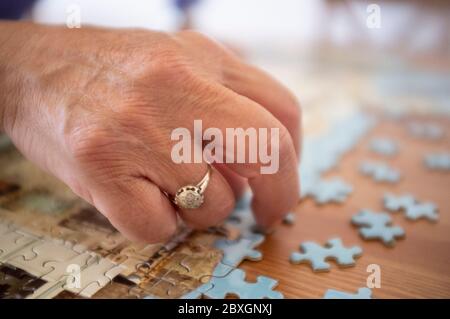 Konzentriert auf die Zusammenstellung eines Puzzles Stockfoto