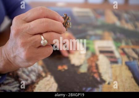 Konzentriert auf die Zusammenstellung eines Puzzles Stockfoto