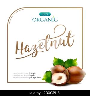Vektor-Rahmen aus realistischen Haselnuss mit Blättern isoliert auf weißem Hintergrund. Quadratischer Rahmen für Verpackungsdesign mit Platz für Ihren Text und Logo Stock Vektor