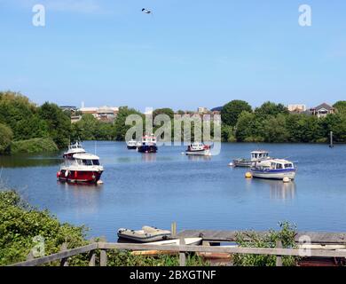 Festgetäute Boote auf dem Ely River, Cardiff Bay, Wales, UK. Stockfoto