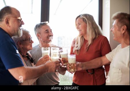 Gruppe von älteren Freunden klirrend Gläser Bier . Stockfoto