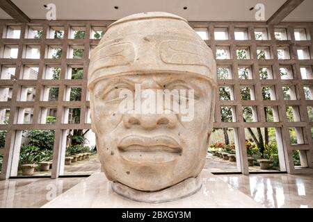 Kolossale Olmec Steinkopf auf dem Display im Museum für Anthropologie in der Altstadt von Xalapa, Veracruz, Mexiko. Die Olmec Zivilisation war die frühesten bekannten großen mesoamerikanischen Zivilisationen, die ungefähr von 1500 v. Chr. bis ungefähr 400 v. Chr. datieren. Stockfoto