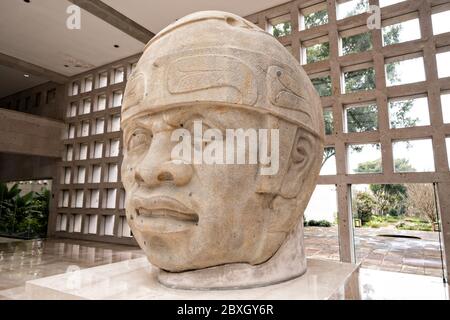 Kolossale Olmec Steinkopf auf dem Display im Museum für Anthropologie in der Altstadt von Xalapa, Veracruz, Mexiko. Die Olmec Zivilisation war die frühesten bekannten großen mesoamerikanischen Zivilisationen, die ungefähr von 1500 v. Chr. bis ungefähr 400 v. Chr. datieren. Stockfoto