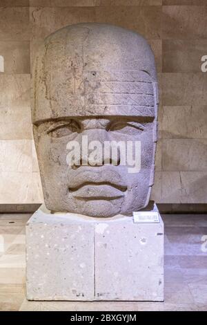 Kolossale Olmec Steinkopf auf dem Display im Museum für Anthropologie in der Altstadt von Xalapa, Veracruz, Mexiko. Die Olmec Zivilisation war die frühesten bekannten großen mesoamerikanischen Zivilisationen, die ungefähr von 1500 v. Chr. bis ungefähr 400 v. Chr. datieren. Stockfoto