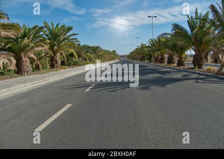 Straße mit Bäumen in Maspalomas, Gran Canaria, Spanien - Sonne im Hintergrund Stockfoto