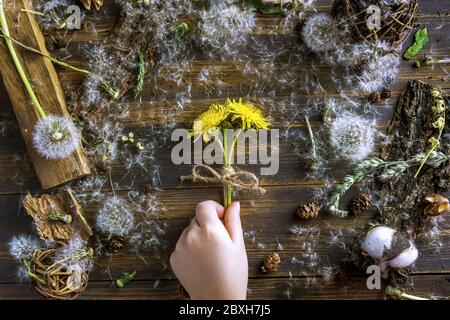 childs Hand hält ein Bouquet von gelben Löwenzahn zwischen den trockenen Blumen. Konzept Sommer, Leben. Flach legen Stockfoto