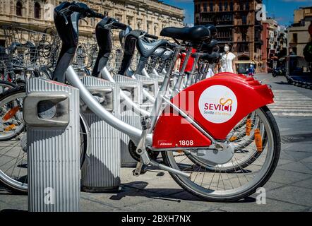 Sevilla, Spanien; 7. Juni 2020: Selektiver Fokus auf ein geparktes Fahrrad des Sevici-Fahrradverleih-Service in Sevilla, Andalusien, Spanien, Europa Stockfoto