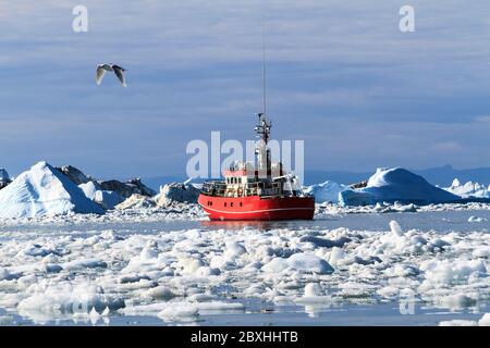 Fischerboot im Eiserstickungshafen von Disko Bay in Ilulissat, Grönland im Hochsommer. Eis ist das ganze Jahr über im Hafen. Stockfoto