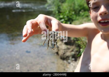 Ein lächelndes Kind fängt einen invasiven amerikanischen Signalfisch, der in der Hand gehalten wird von der Mole, Leatherhead, Surrey, UK, Sommer 2020 Stockfoto