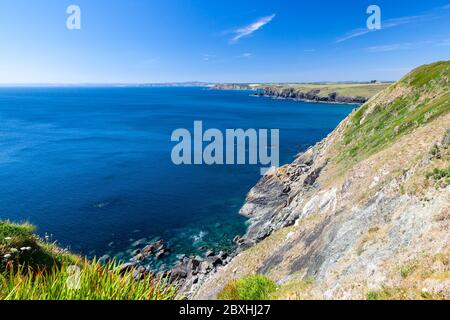 Küste in der Nähe von Mullion Cove an einem schönen sonnigen Sommertag. Cornwall England Großbritannien Europa Stockfoto