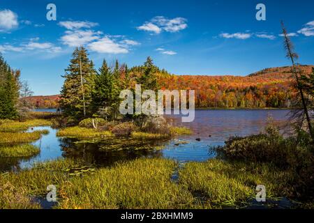 Herbstfärbung der Blätter in den Zucker Ahornbäumen im Mont-Orford National Park, Orford, Quebec, Kanada. Stockfoto