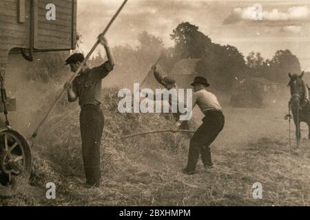 Lettland - UM 1920er Jahre: Dampfmaschine mit Drescher. Foto von Landwirten, die auf dem Feld arbeiten. Archiv Vintage Schwarz-Weiß-Fotografie Stockfoto