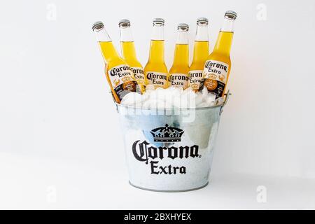 Calgary, Alberta, Kanada. 07. Juni 2020. Ein Eimer Corona mit Eis und Bier nicht geöffnet. Stockfoto