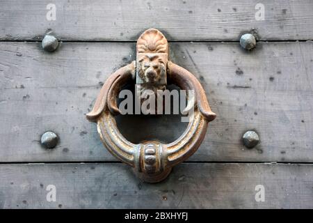 Rostiger Vintage Türklopfer mit Löwenkopf in Bergamo, Italien. Stockfoto