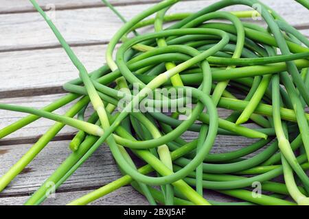 Blumensträuße frisch gepflückte grün Knoblauch scape Stiele Stockfoto