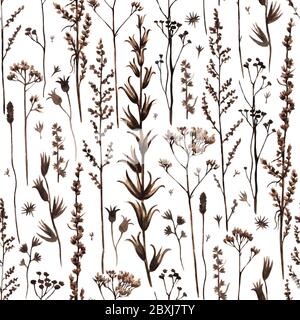 Nahtloses Muster mit Aquarell bemalten trockenen braunen Blumen und Pflanzen. Handgezeichnete botanische Illustration. Stockfoto