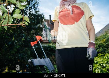 Niedrige Winkelansicht der Frau, die die Schere auf der hohen Leiter im grünen Garten beschneidet, um die Sträucher zu schneiden Stockfoto