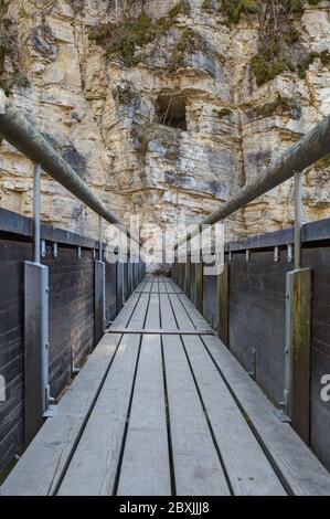 Eine Wanderung durch die Wutach-Schlucht führt über Holzstege und schmale Wege. Stockfoto