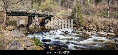 Unter der Brücke rast der wilde Fluss Wutach im Schwarzwald durch. Stockfoto