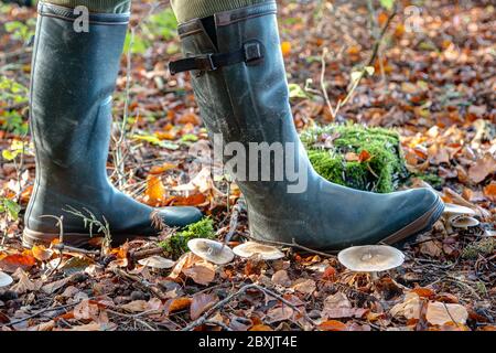 Für Jäger, Pilzsammler und Wanderer sind die Gummistiefeln die richtigen Schuhe, um durch den Herbstwald zu wandern. Stockfoto