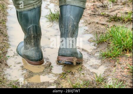 Mit Gummistiefeln durch den Schlamm. Farmer geht mit seinen Gummistiefeln in die schlammige Spur seines Traktors über das Feld. Blick von hinten. Stockfoto