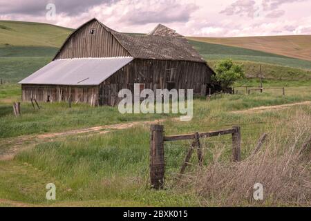 Alte Scheune mit versunkenem Dach und einem Zaun mit Stacheldraht. Bild aufgenommen in der Region Palouse im Bundesstaat Washington. Stockfoto