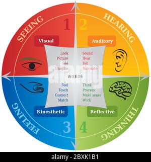 Diagramm mit vier Lernstilen, Tool für Life Coaching und in NLP - Englisch Stock Vektor