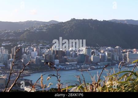 Tolles Panorama von Wellington Stadtzentrum und Hafen mit Gebäuden, Schiffen, dem Meer und umgeben von einem bewaldeten Berg. Foto vom Mount Victoria. Stockfoto