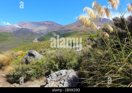 Wunderschöne Landschaft entlang der Tongariro Alpine Crossing in Neuseeland mit hohen Bergen und grünen Wäldern. Stockfoto