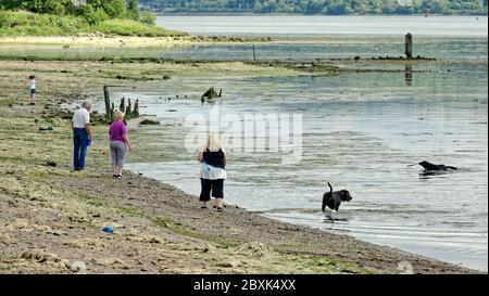 Cardross, Glasgow, Schottland, UK 7. Juni 2020: UK Wetter: Schönes Wetter in Cardross am Ufer des Flusses clyde. Quelle: Gerard Ferry/Alamy Live News Stockfoto