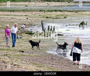 Cardross, Glasgow, Schottland, UK 7. Juni 2020: UK Wetter: Schönes Wetter in Cardross am Ufer des Flusses clyde. Quelle: Gerard Ferry/Alamy Live News Stockfoto