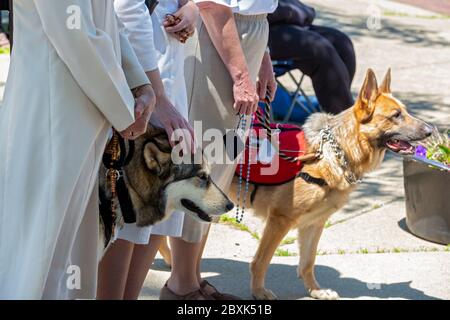 Detroit, Michigan, USA. Juni 2020. Detroit katholischer Erzbischof Allen Vigneron führte einen Rosenkranz für die Rassengerechtigkeit außerhalb Ste. Anne-Basilika. Mehrere Felician Sisters nahmen mit ihren Diensthunden Teil. Das Ereignis kam nach zwei Wochen von Protesten über der Polizeimorde von George Floyd in Minneapolis. Die anwesenden Gemeindemitglieder wurden gebeten, wegen der Coronavirus-Pandemie soziale Distanzierung zu praktizieren und Masken zu tragen. Kredit: Jim West/Alamy Live News Stockfoto