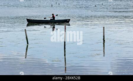 Cardross, Glasgow, Schottland, UK 7. Juni 2020: UK Wetter: Schönes Wetter in Cardross am Ufer des Flusses clyde. Quelle: Gerard Ferry/Alamy Live News Stockfoto