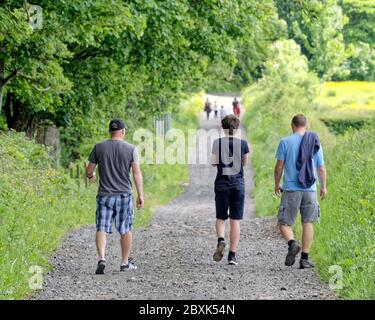 Cardross, Glasgow, Schottland, UK 7. Juni 2020: UK Wetter: Schönes Wetter in Cardross am Fluss clyde in der Nähe von Kilmahew-Wald. Quelle: Gerard Ferry/Alamy Live News Stockfoto