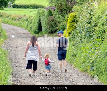 Cardross, Glasgow, Schottland, UK 7. Juni 2020: UK Wetter: Schönes Wetter in Cardross am Fluss clyde in der Nähe von Kilmahew-Wald. Quelle: Gerard Ferry/Alamy Live News Stockfoto