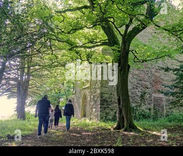 Cardross, Glasgow, Schottland, Großbritannien 7. Juni 2020: UK Wetter: Schönes Wetter in Cardross am Fluss clyde auf der Burg Kilmahew die alte Heimat von Napier von Logs Ruhm. Gerard Ferry/Alamy Live News Stockfoto