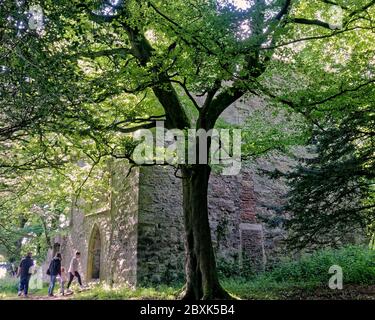 Cardross, Glasgow, Schottland, Großbritannien 7. Juni 2020: UK Wetter: Schönes Wetter in Cardross am Fluss clyde auf der Burg Kilmahew die Stammstätte von Napier of logs Ruhm.t: Gerard Ferry/Alamy Live News Stockfoto