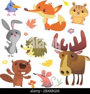 Set von niedlichen Waldtiere auf weißem Hintergrund isoliert. Cartoon Vogel, Igel, Biber, Hase Kaninchen, Chippmunk, Fuchs, Maus und Elch Elch. Vektor-Abb. Stock Vektor