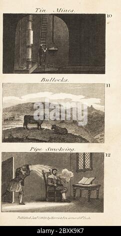 Handel in Regency England. Zinnminen, Bullocks und Pfeifenrauchern. Bergmann auf einer Leiter mit einem Eimer Zinn Erz in einer Redruth Zinn Mine 10, Rind Rinder auf einem Devonshire Moor 11, und Diener wirft einen Krug Wasser über Sir Walter Raleigh rauchen eine Pfeife 12. Holzschnitt-Gravur aus den Szenen des britischen Reichtums von Rev. Isaac Taylor, in Produce, Manufacture and Commerce, John Harris, London, 1823. Isaac Taylor war ein englischer Schriftsteller, Künstler, Graveur und Erfinder 1787-1865. Stockfoto