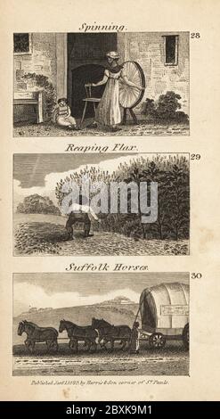 Handel in Regency England. Spinning, Ernte Flachs und Suffolk Pferde. Frau, die Wolle auf einem Rad vor einem Häuschen in Lavenham 28 spinnt, Junge, der Hanf für Segeltuch in Suffolk 29 erntet, und Suffolk-Rasse Pferde, die einen Wagen ziehen 30. Holzschnitt-Gravur aus den Szenen des britischen Reichtums von Rev. Isaac Taylor, in Produce, Manufacture and Commerce, John Harris, London, 1823. Isaac Taylor war ein englischer Schriftsteller, Künstler, Graveur und Erfinder 1787-1865. Stockfoto