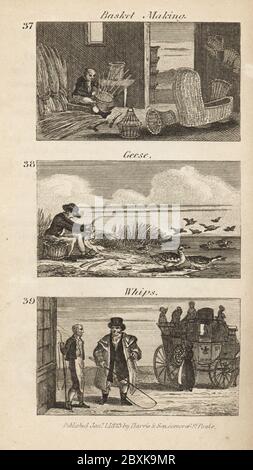 Handel in Regency England: Korbherstellung, Gänsezupfen und Peitschen. Korbmacher, der Weide zu Körben und Körben auf der Isle of Ely 34 webt, Mann, der Gänsefedern von den Gänsen in den Lincoln FNEs 35 und Bühnenkombus Postillion mit einer Peitsche aus Daventry 36 ausrubbt. Holzschnitt-Gravur aus den Szenen des britischen Reichtums von Rev. Isaac Taylor, in Produce, Manufacture and Commerce, John Harris, London, 1823. Isaac Taylor war ein englischer Schriftsteller, Künstler, Graveur und Erfinder 1787-1865. Stockfoto