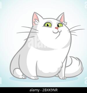 Weiße fette Katze mit grünen Augen sitzen. Vektor Cartoon Katze Illustration Stock Vektor